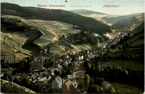 Oberes Schwarzatal, Mellenbach -524668