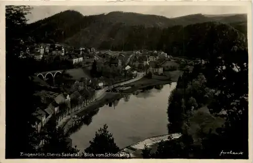 Ziegenrück ob Saaletal, Blick vom Schlossberg -524948