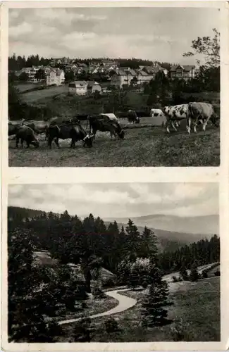 Oberhof, Blick auf Parkhotel Sanssouce -524658