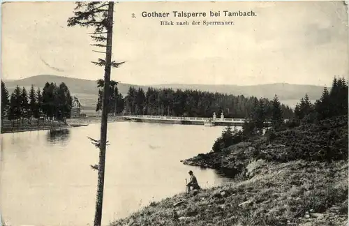 Gothaer Talsperre bei Tambach -525208