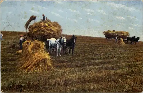 Landwirtschaft Pferdegespann -610374