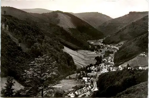 Sieber im Harz, Blick vom Lilienberg -399912