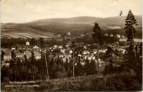 Bad Georgenthal, Gesamtansicht vom Ziegelberg -524554