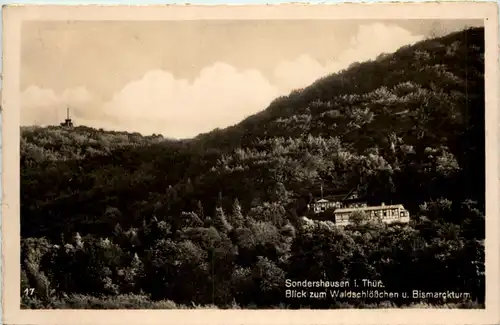 Sondershausen, Blick zum Waldschlösschen u. Bismarckturm -524132