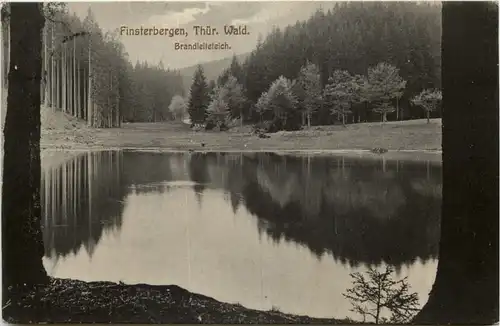 Finsterbergen, Brandleiteteich -524272