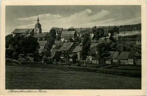 Benneckenstein im Harz -636842