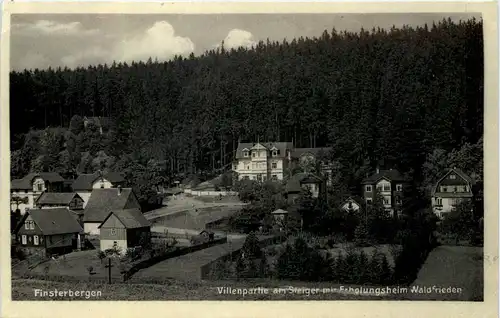 Finsterbergen, Villenpartie am Steiger mit Erholungsheim Waldfrieden -525968