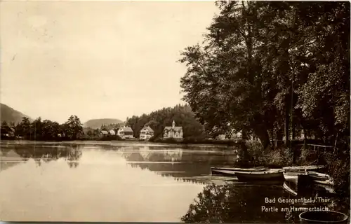 Bad Georgenthal, Partie am Hammerteich -524552