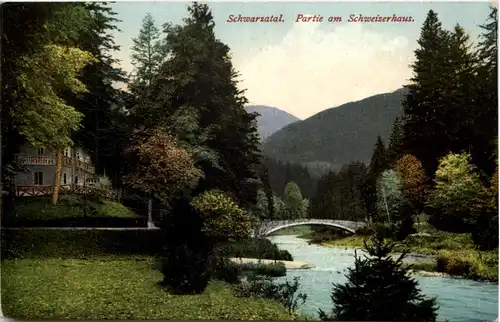 Schwarzatal, Partie am Schweizerhaus -524612