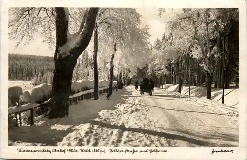 Oberhof, Zellaer Strasse und Golfwiese -524570