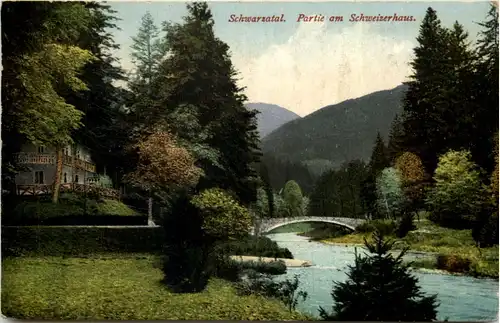 Schwarzatal, Partie am Schweizerhaus -525224