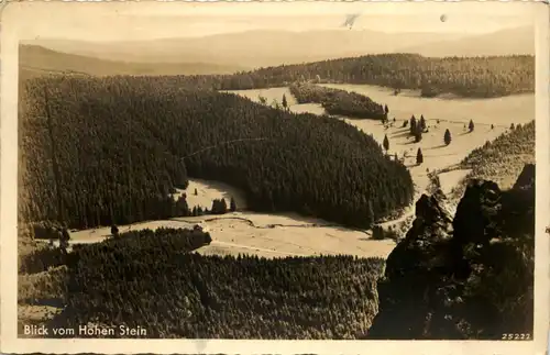 Oberhof, Blick vom Hohen Stein -525070