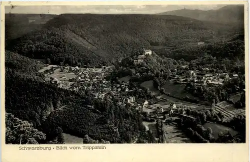 Schwarzburg, Blick vom Trippstein -525096