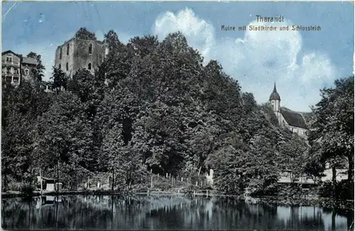 Tharandt, Ruine mit Stadtkirche und Schlossteich -525632