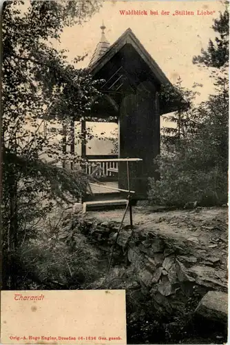 Tharandt, Waldblick bei der Stillen Liebe -526214