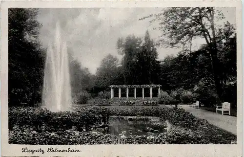 Liegnitz, Palmenhain -525524
