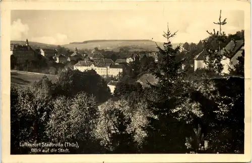 Kurort Stadtroda, Blick auf die Stadt -525230