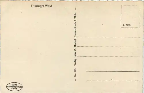 Kuhherde im Thüringer Wald -524326