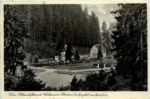 Wildemann im Oberharz, Im Spiegeltal am Sportplatz -501906