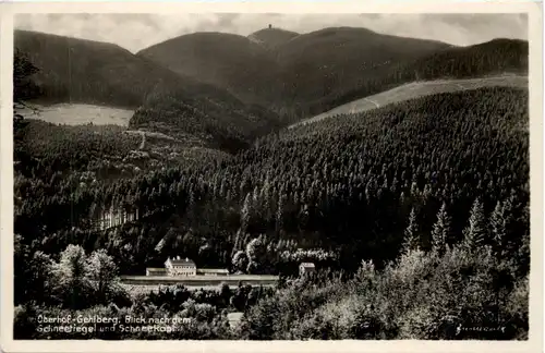 Oberhof-Gehlberg, Blick nach dem Schneeriegel -524546