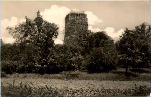 Eilenburg in Sachsen, 100-Jähriger Sorbenturm -502084