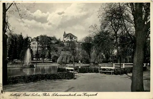 Bad Sulza, Schwanenteich im Kurpark -526192