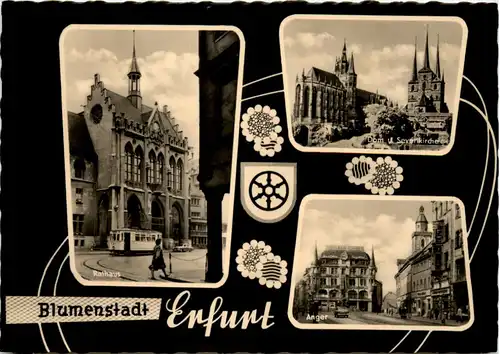 Erfurt, div. Bilder -509138