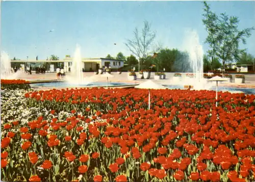 Erfurt, IGA, der DDR, Grosse Blumenwiese am Festplatz mit Blick zum Haup -509158