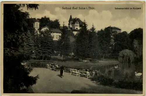 Solbad Bad Sulza/Thür., Schwanenteich im Kurpark -525066