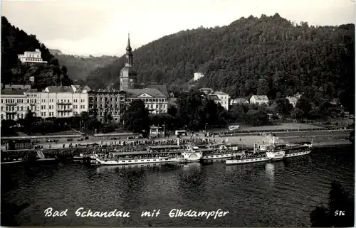 Bad Schandau mit Elbdampfer -527054