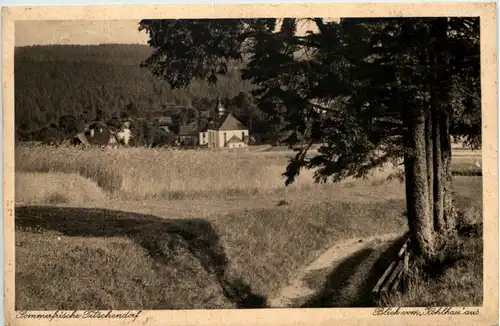 Sommerfrische Titschendorf, Blick vom Kohlhaus aus -525246