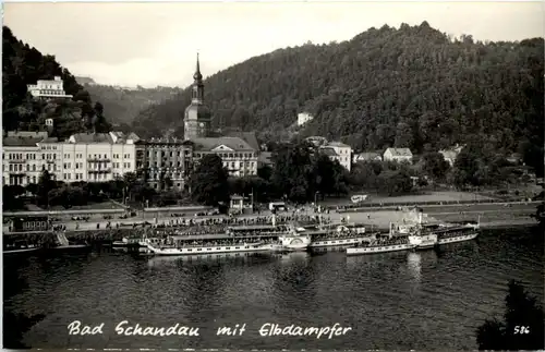 Bad Schandau mit Elbdampfer -527052