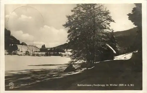 Schluchsee - Seebrugg im Winter -525746