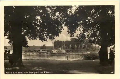 Riesa an der Elbe, Am Stadtpark mit Elbe -528308