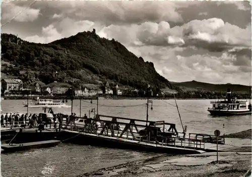 Mehlem a. Rh. Blick auf das Siebengebirge -528174