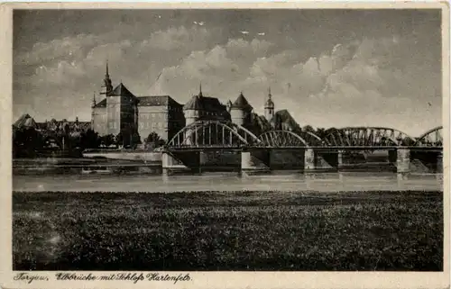 Torgau, Elbbrücke, Schloss Hartenfels -510378