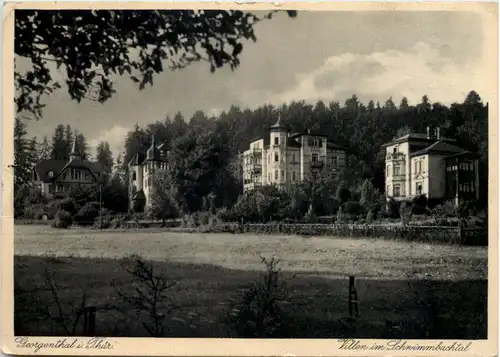 Georgenthal in Thüringen,, Villen im Schwimmbachtal -526646