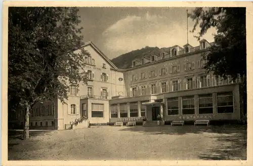 Heidelberg - Victoria Hotel -601018