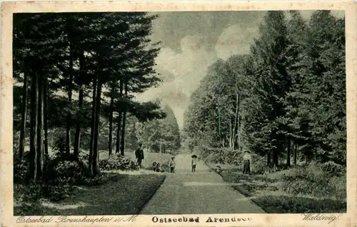 Ostseebad Brunshaupten - Waldweg -638200