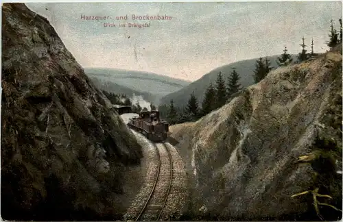 Harzquer und Brockenbahn - Blick ins Drängetal -528924