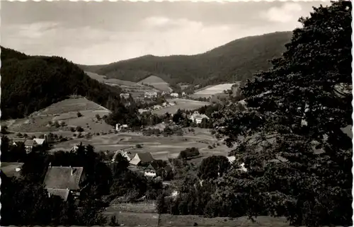 Glottertal im Schwarzwald, Kurhaus und Sanatorium Glotterbad -530066