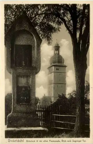 Dinkelsbühl, Bildstock in der alten Promenade, Blick aufs Segringer Tor -530746