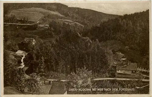 Ober-Kudowa mit Weg nach dem Forsthaus -603350