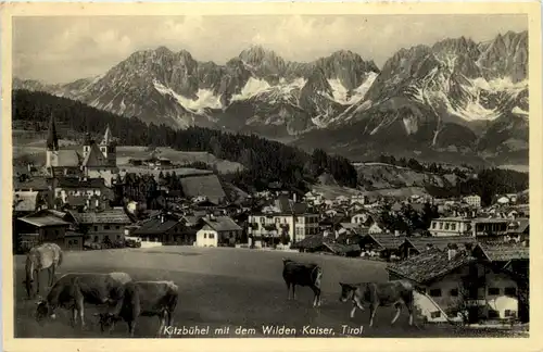 Kitzbühel mit wildem Kaiser -530522
