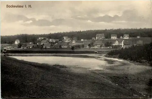 Bockswiese im Harz -530280