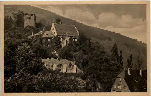 Miltenberg a.M., Das alte Schloss -529654