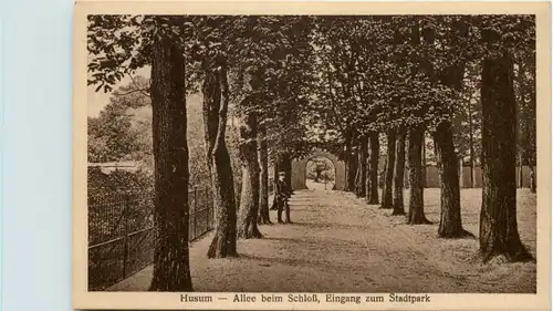 Husum, Allee beim Schloss, Eingang zum Stadtpark -530784