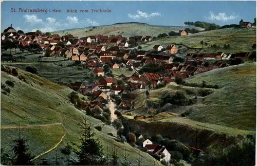 St.Andreasberg i. Harz, Blick vom Treibholz -529814