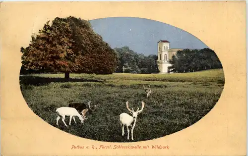 Putbus auf Rügen, Fürstl. Schlosskapelle mit Wildpark -531272