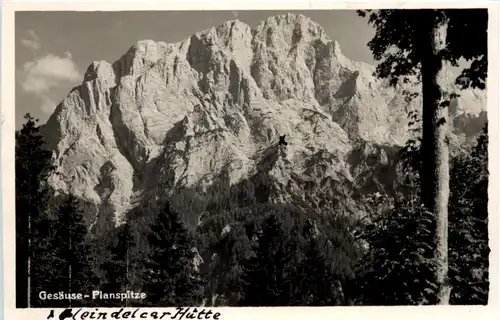 Gesäuse - Planspitze -615890